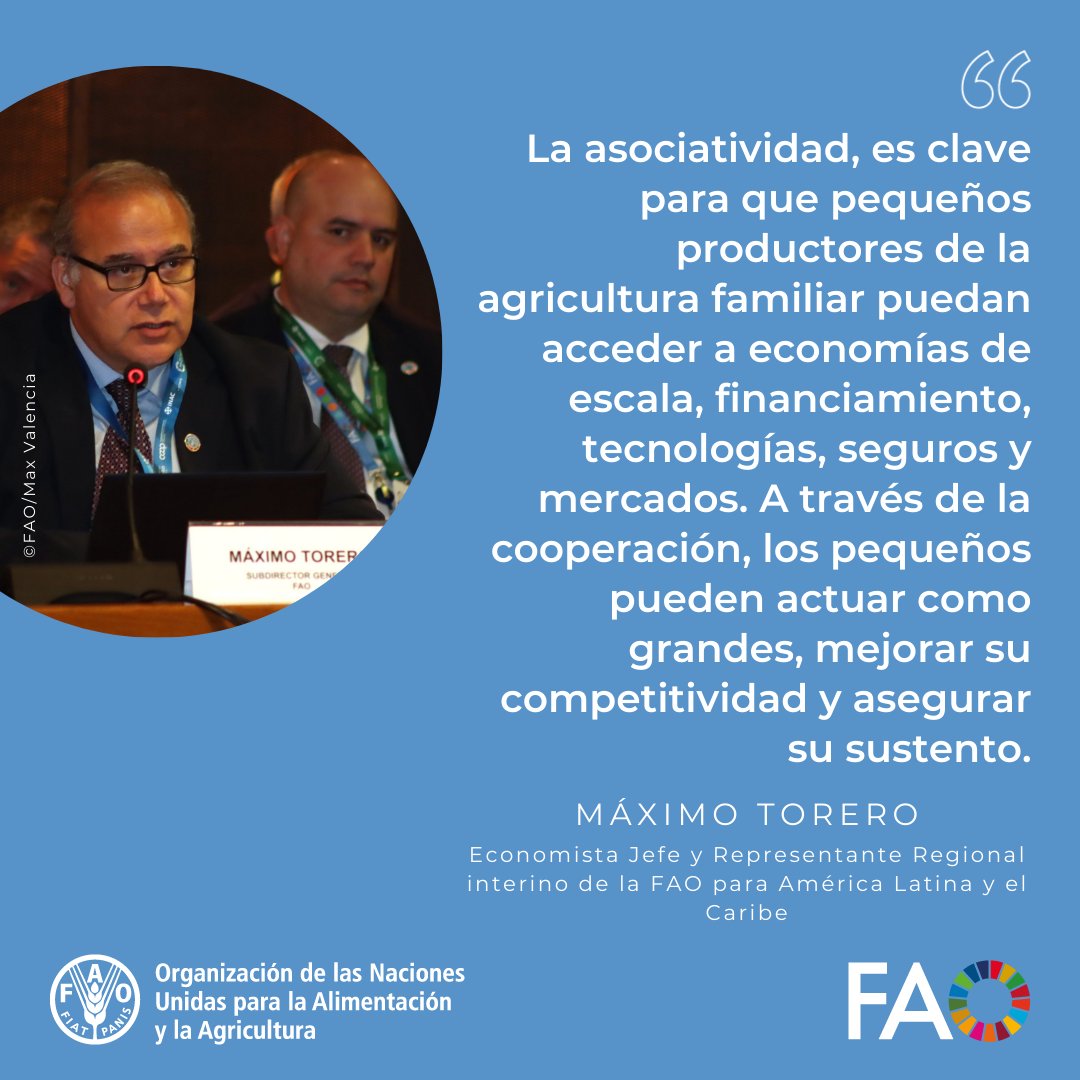 Ante el contexto global actual las #cooperativas podrían representar una herramienta de respuesta inclusiva para avanzar en un camino de transformación frente a los desafíos de hoy.

#CooperativasConstruyenUnMundoMejor