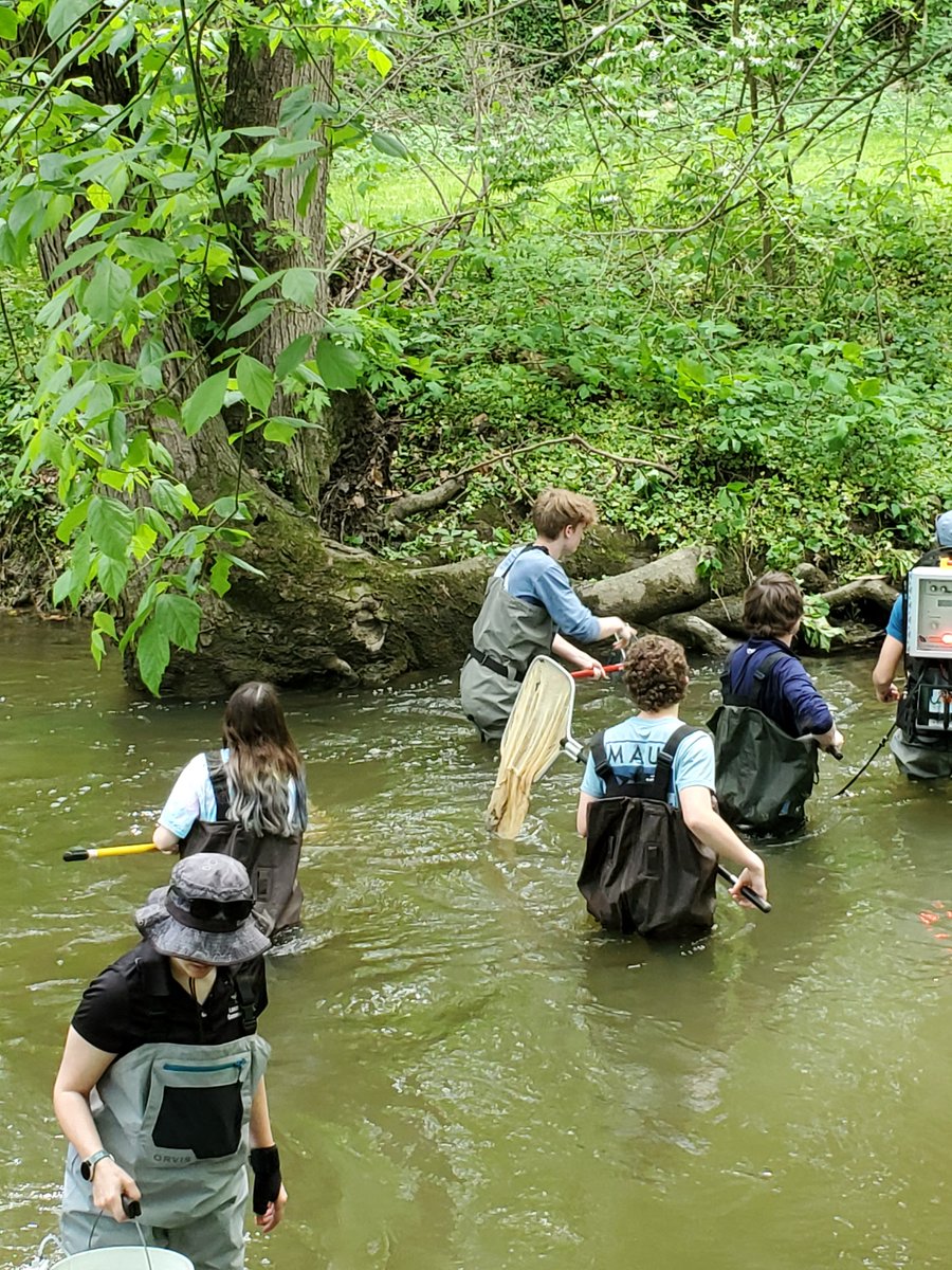 Recently the Ecology class, lead by Mrs. Ames and Mrs. Beck, took their students electrofishing in the Little Conestoga Creek to catch and ID the fish species present. This hands on experience was an amazing opportunity unlocked for our students.
#PMHS #greatdaytobeacomet