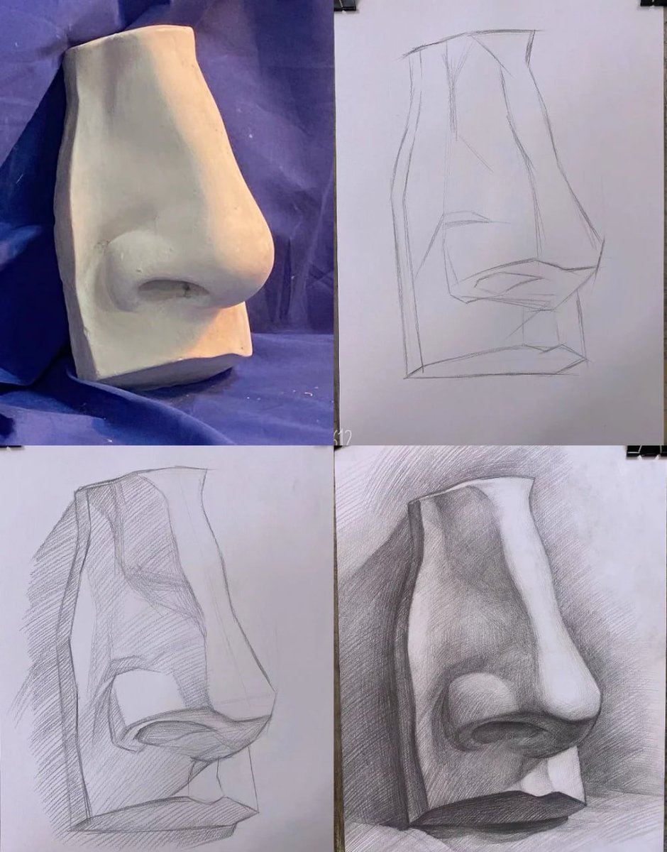 形を捉える、その瞬間。素描が映し出す、感性と技術の軌跡。