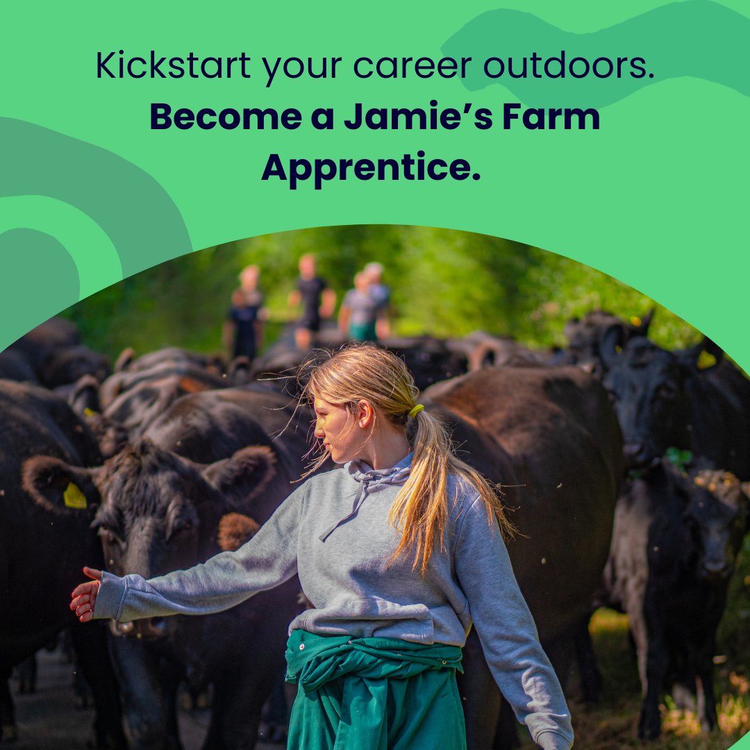 ⏰ Apprentice roles close this Sunday!
Know a 16–21 yr old who loves the outdoors &amp; wants to work with animals or support others?
We’re hiring in Bath, Hereford &amp; Monmouth 🐑🌿
No experience needed!
📅 Deadline: 18 May
👉 jfrm.org/Jobs 
#Apprenticeship #JamiesFarm