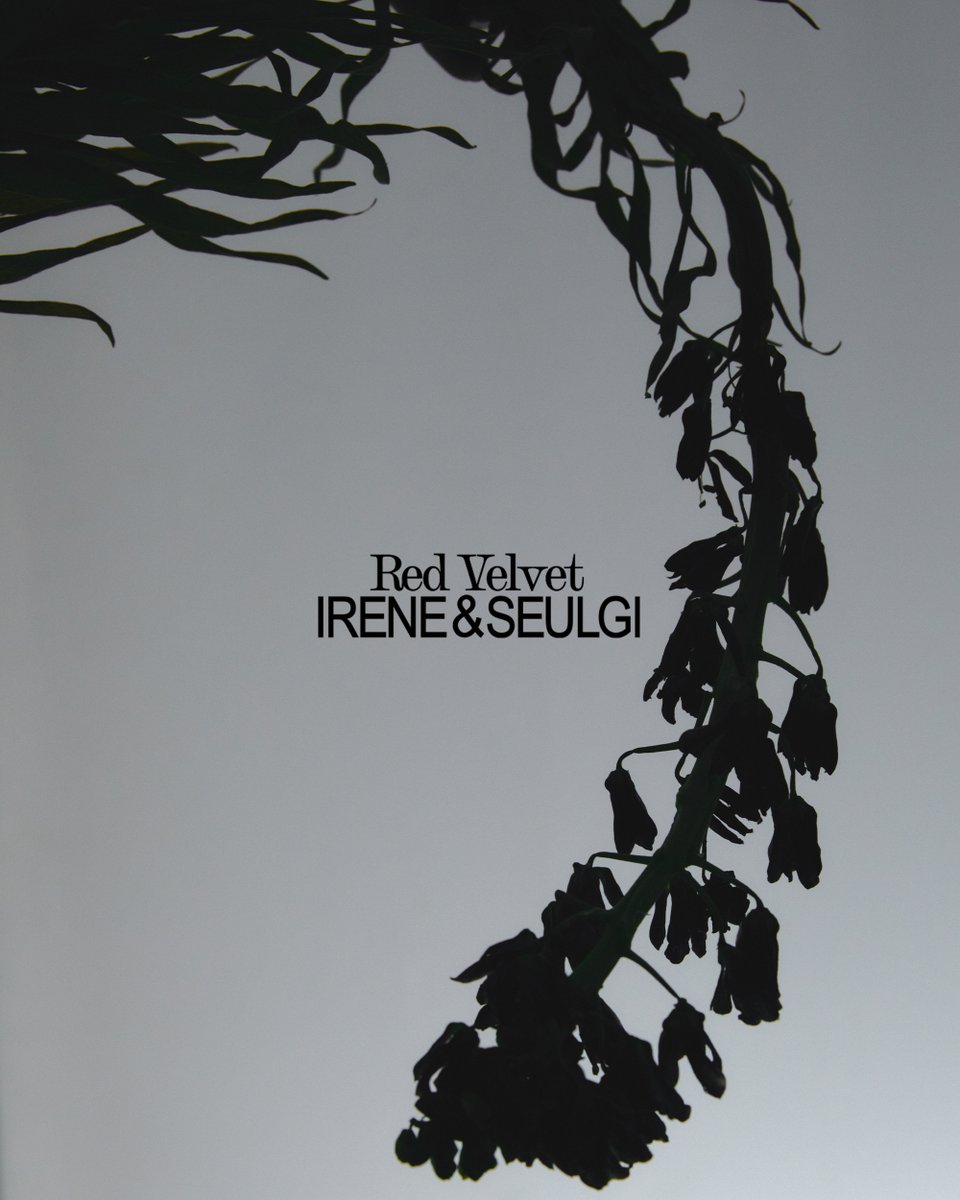 RVsmtown's tweet image. Red Velvet - IRENE &amp;amp; SEULGI 'TILT' Image #1-2

Red Velvet - IRENE &amp;amp; SEULGI
The 2nd Mini Album 【TILT】
➫ 2025.05.26 6PM (KST)

💿 Pre-order
IRENESEULGI.lnk.to/TILT

#RedVelvet_IRENE_SEULGI
#레드벨벳_아이린_슬기
#IRENE #아이린 #SEULGI #슬기
#TILT #RedVelvet_IRENE_SEULGI_TILT