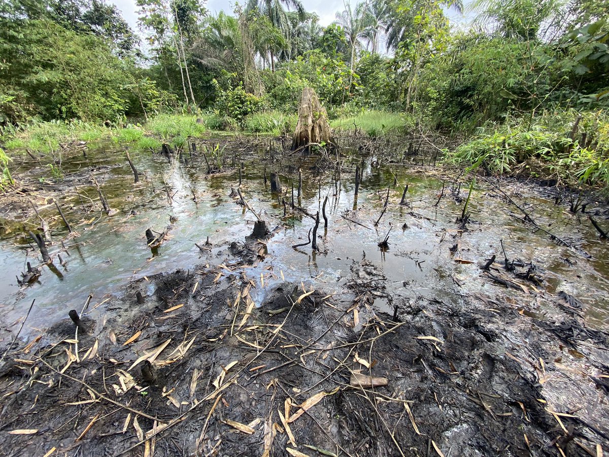 Stop further pollution in the Niger Delta
#NDAC2025