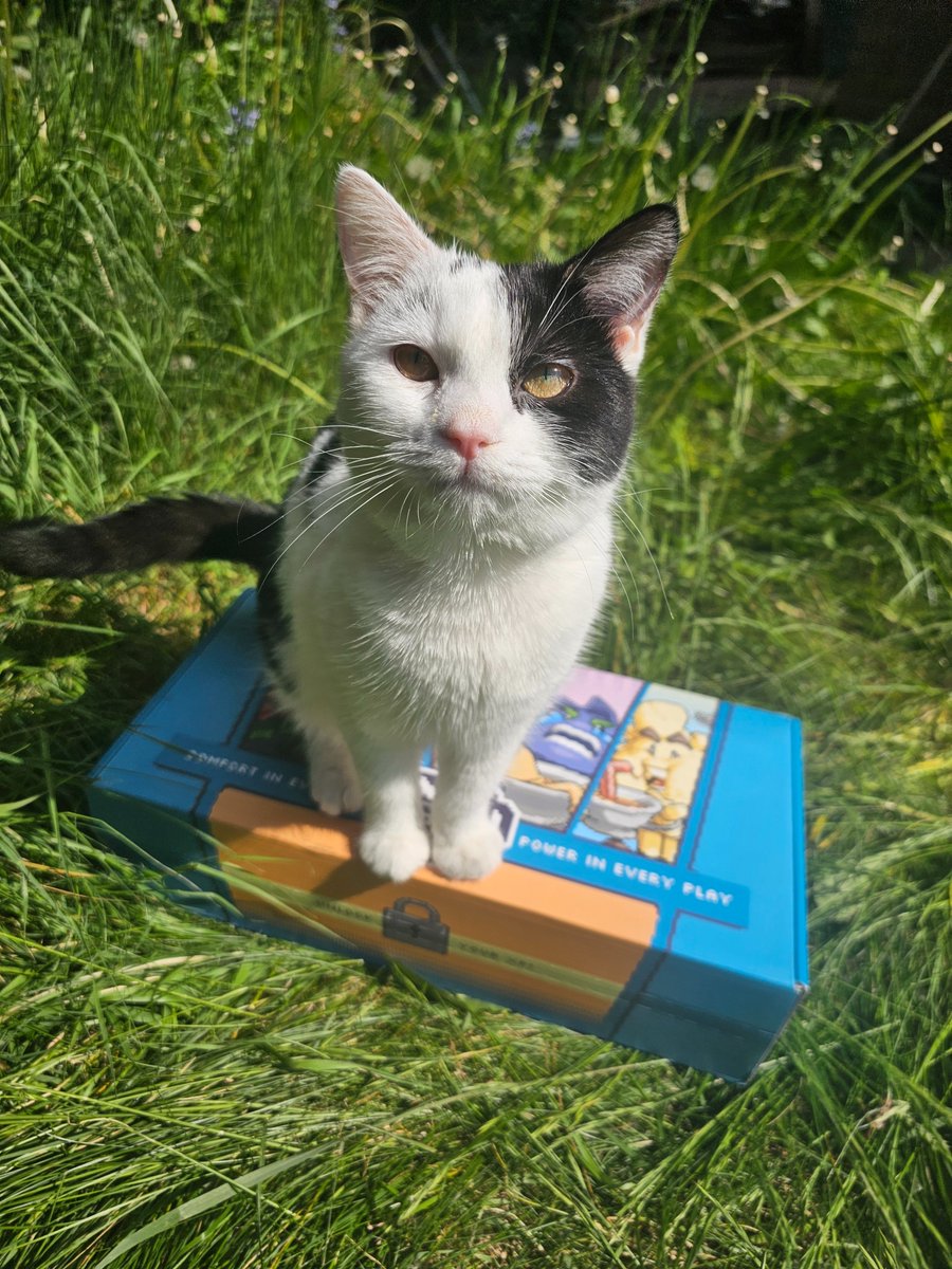 ItsJeniBoo's tweet photo. Loving my energy levels with this new energy drink I discovered lately.
Yin approves of it too! 😱

Get yours today https://t.co/VACVtNfZmt
Use code "BritishJen" and get 15% off your order 💜

#xpbrew #energytea #gamertea #cleantea #gamerfuel https://t.co/q2dhgWvqXU