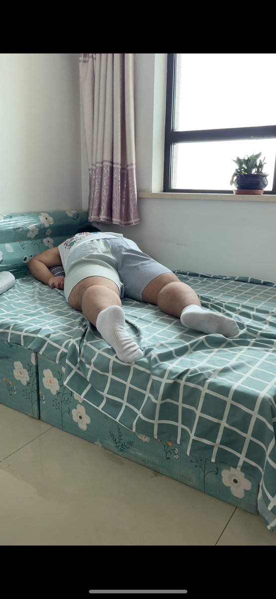 梧桐熊 tweet media