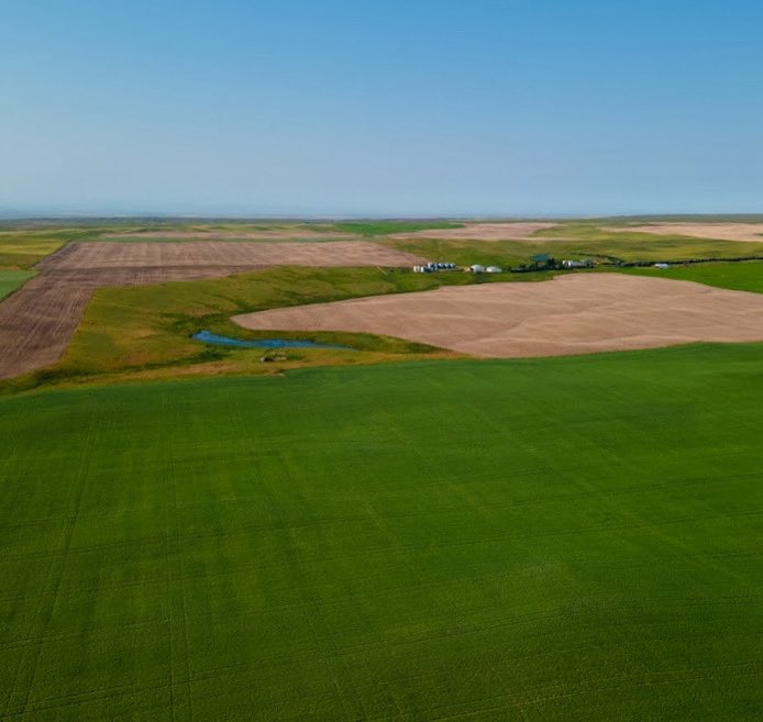 Our type of Monday morning blues.

#MTAg #MontanaAg #MTAgriculture