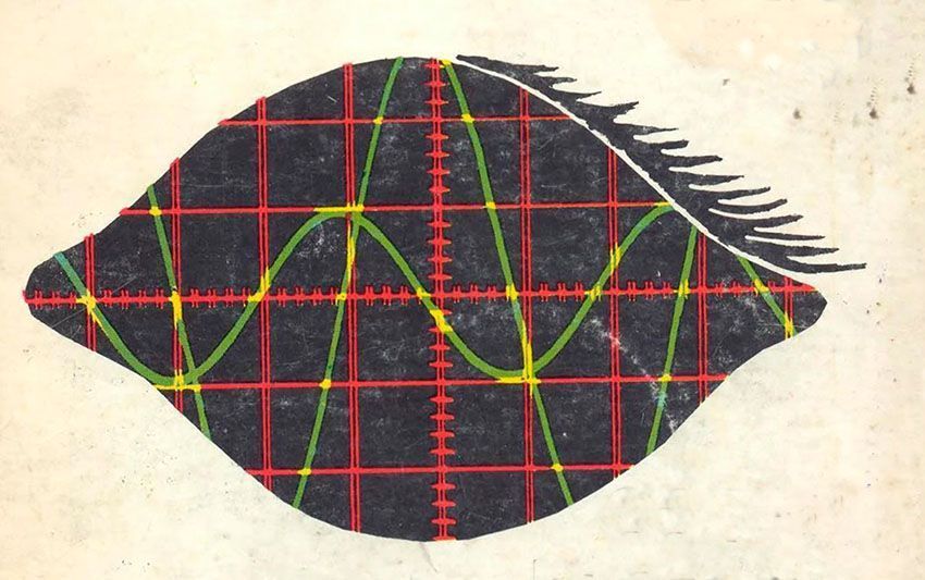 No Country Magazine tweet media