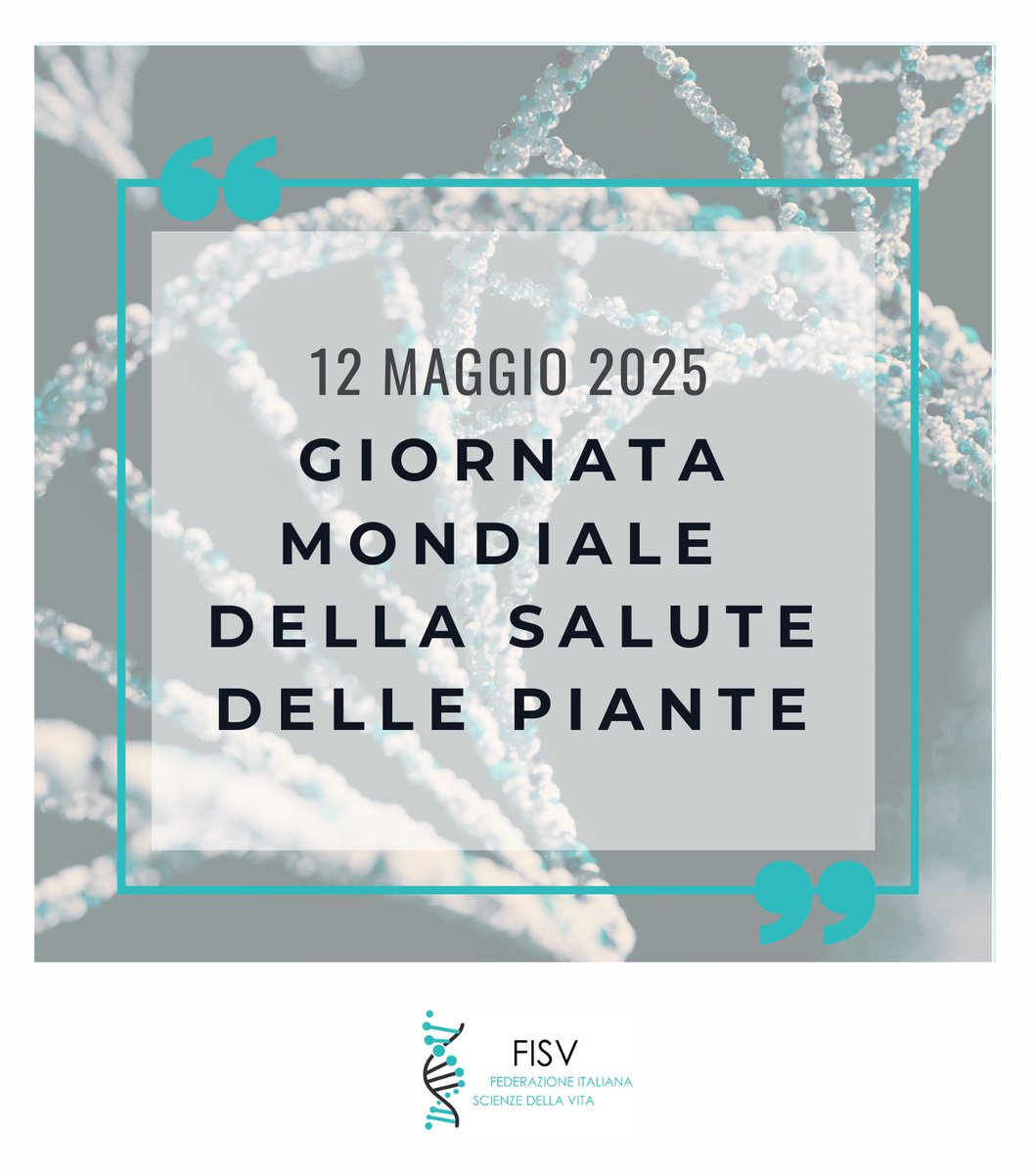 International Day of Plant Health, #IDPH
Proteggere le piante equivale a proteggere la nostra salute: può aiutare a porre fine alla fame, ridurre la povertà, proteggere la biodiversità e l’ambiente e promuovere lo sviluppo economico. 

Scopri di più fao.org/plant-health-d…