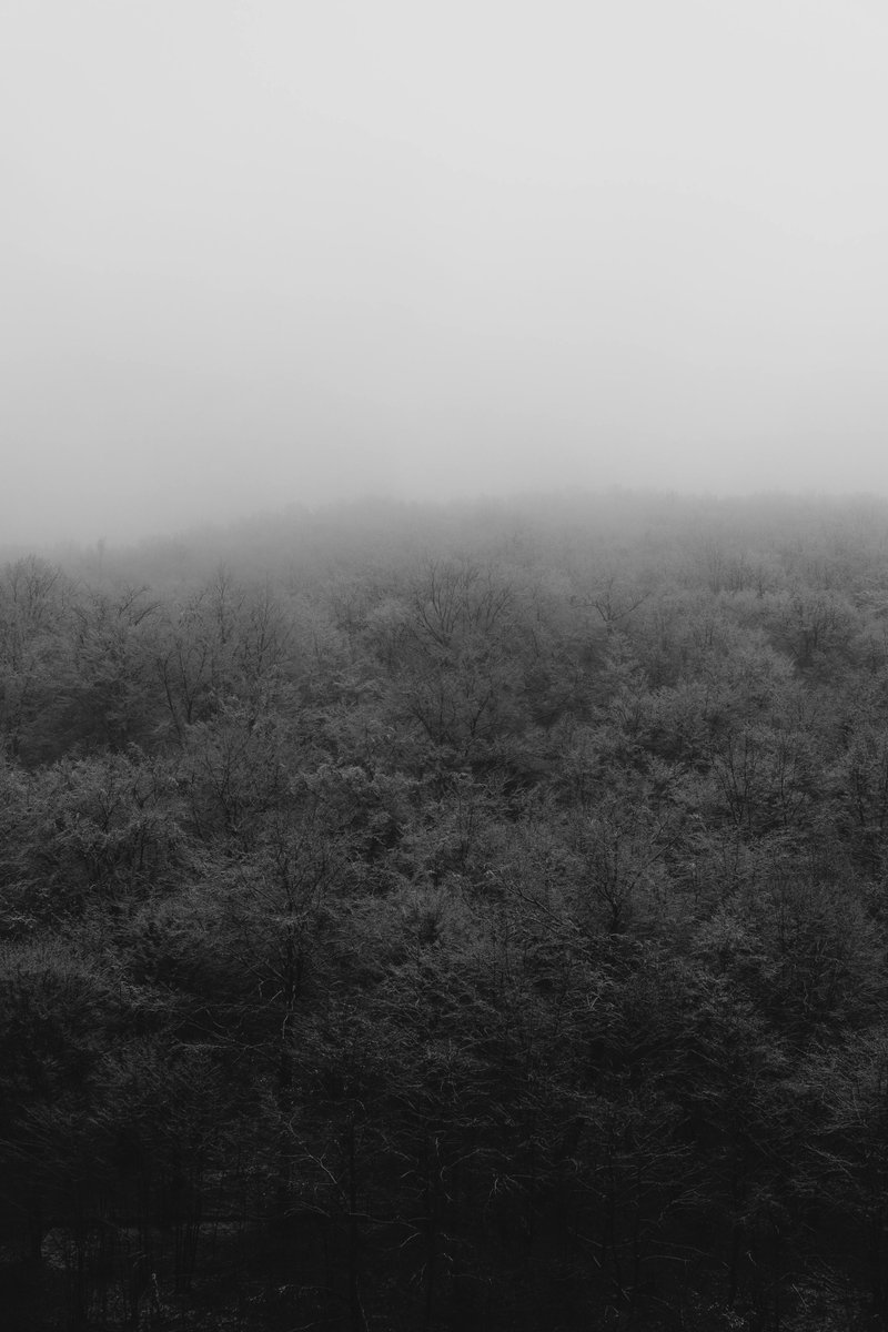 Mervin Robert tweet media