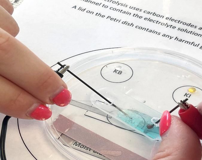 RSC_EiC's tweet image. Want to boost your confidence with practicals and improve learners’ abilities? Then read this about #CPD and #microscale
edu.rsc.org/feature/micros…
#scienceteachers #SciEd