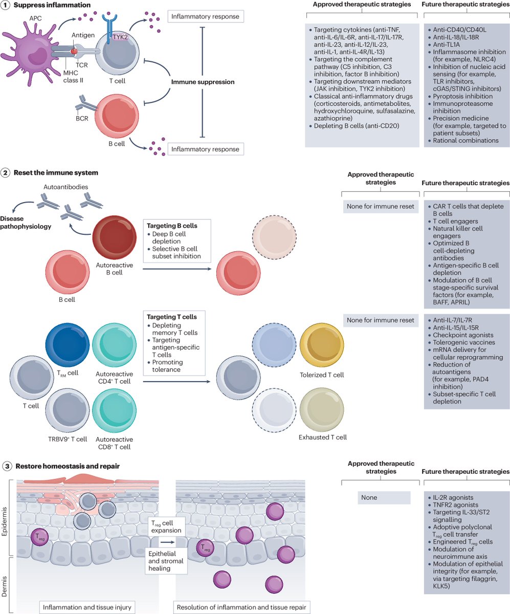 Nature Reviews Drug Discovery (@natrevdrugdisc) on Twitter photo For readers interested in approaches to reset the immune system to treat autoimmune diseases, here's a comprehensive review nature.com/articles/s4157…
rdcu.be/elE4L For readers interested in approaches to reset the immune system to treat autoimmune diseases, here's a comprehensive review nature.com/articles/s4157…
rdcu.be/elE4L