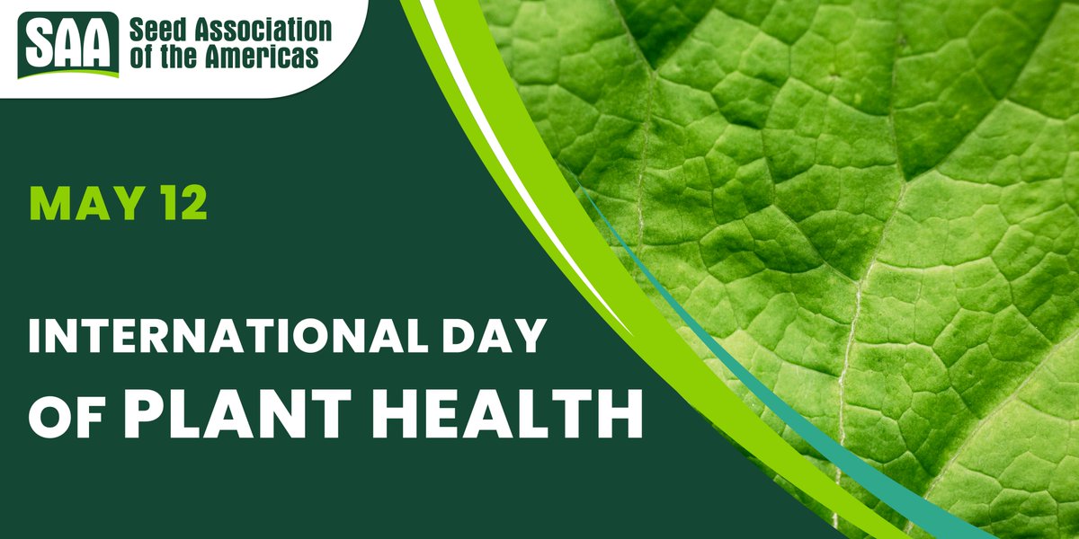 🌱Plant health begins with healthy seeds, protection of crops from pests and diseases that can affect them is essential to improve food security. 

✅Protecting plants is protecting life. 

#InternationalPlantHealthDay #SeedSector #FoodSecurity #Seeds #SAA #SAASeed