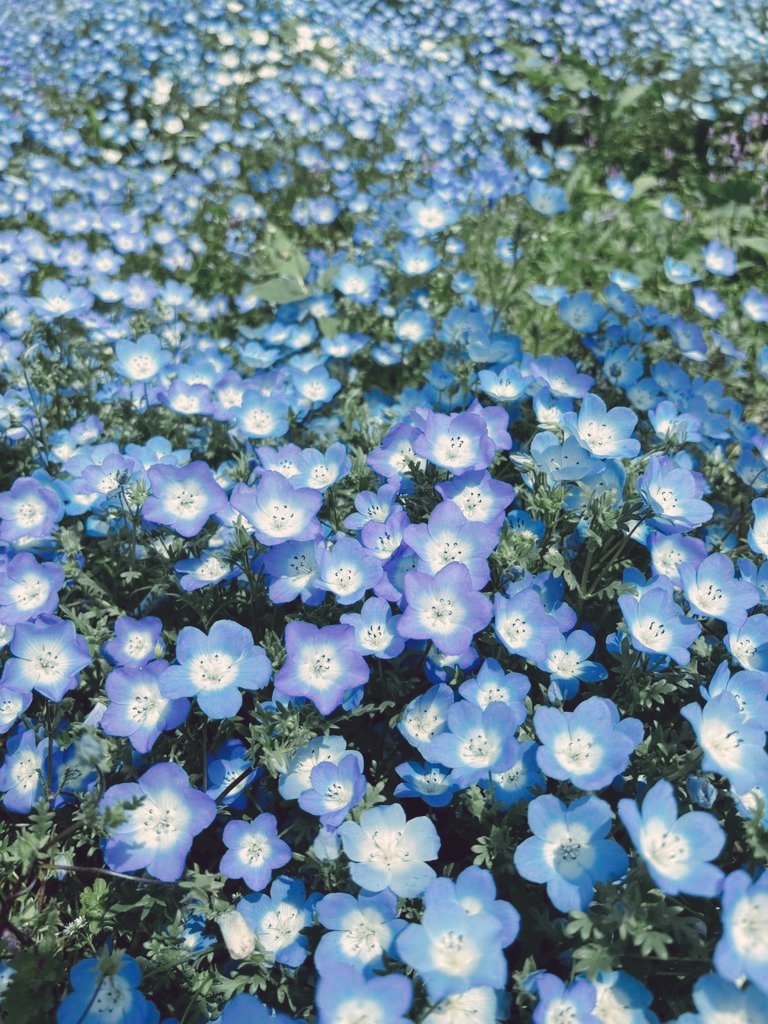tt__000_'s tweet image. ｺﾞｼﾞｮﾇｲ忘れちゃった