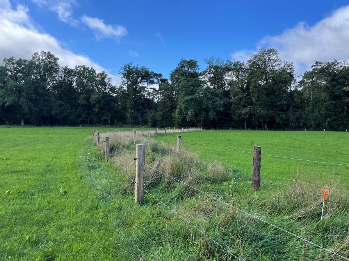 🌿21 mei: BoerenNatuur Kennisuur! Ontdek de biodiversiteitswaarde van de weidepaal met Jan Stronks.🐝 Kijk live van 13:00 – 14:00 en stel je vragen in de chat! 👉 vimeo.com/event/5097861 #Biodiversiteit #Natuur #BoerenNatuur