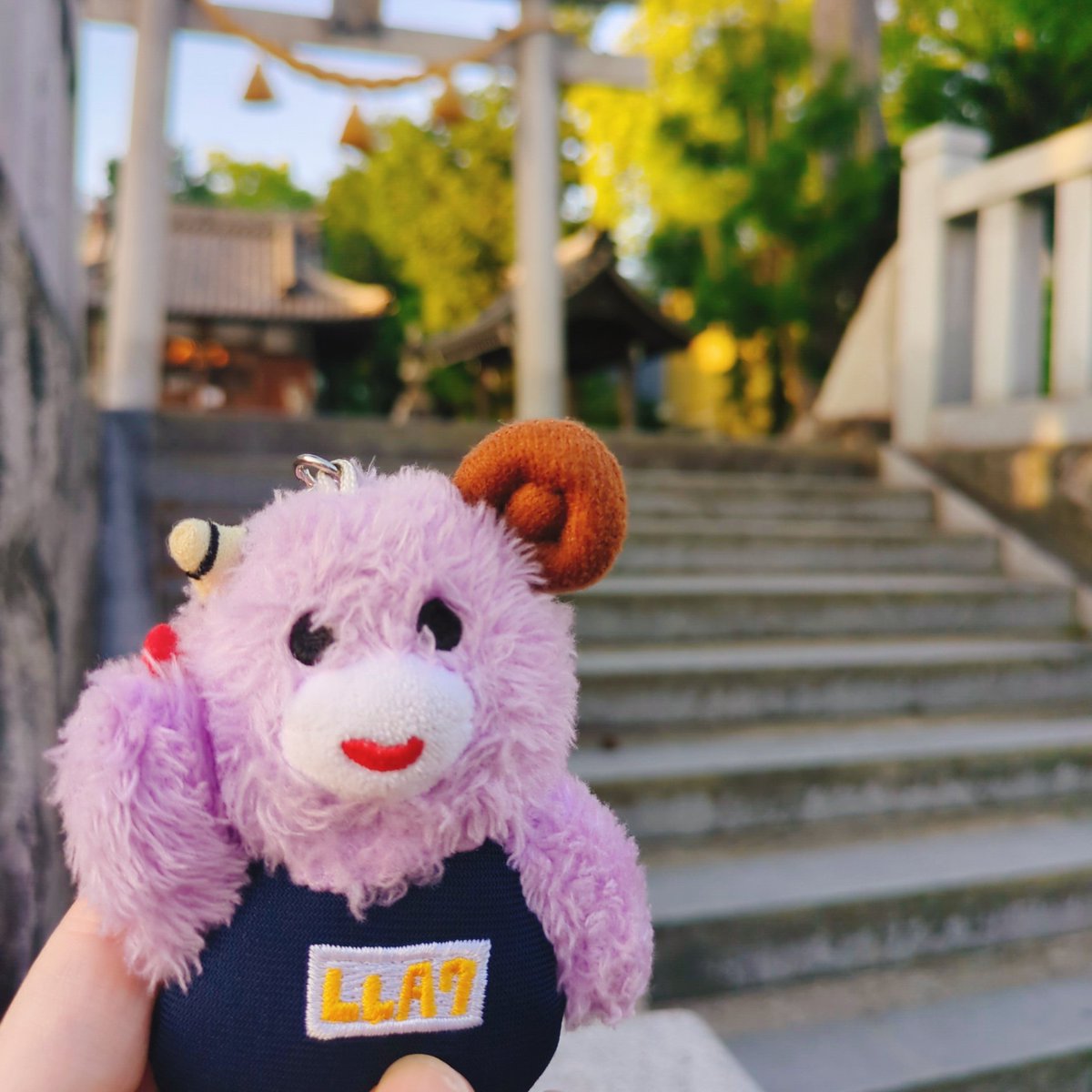 piramaru15's tweet image. ZIP!の🫶aikoおちゃめでかわよすぎでしょー！！🥹✨
地元の天使さんたちとのお写真、いっぱい見せてくれてあじがと🥰
aikoが元気に楽しそにしてくれてたらそれだけでシアワセ💖

⛩️LLP24.9もラブシャもみんなチケット当たりますようにー！🍎* ゚