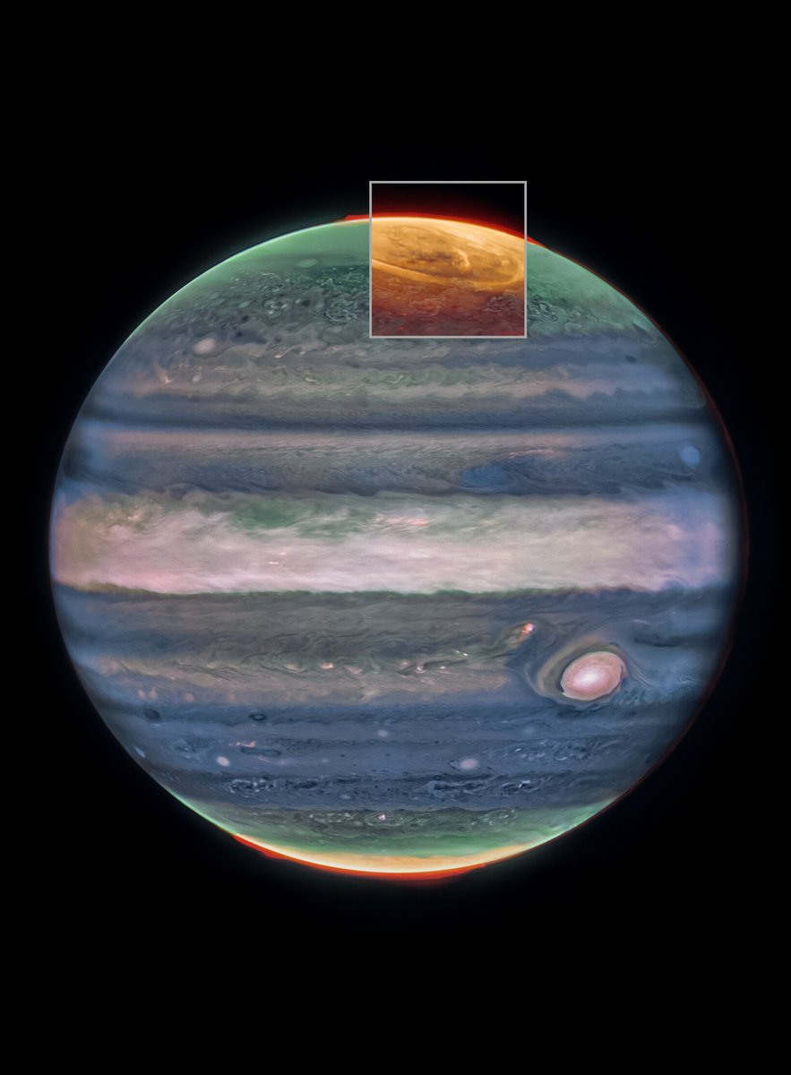 NASA's tweet image. More passion, more energy 🕺
@NASAWebb captured new details of auroras on Jupiter. These dancing lights are huge in size and are hundreds of times more energetic than auroras on Earth. Check it out: go.nasa.gov/434tDap