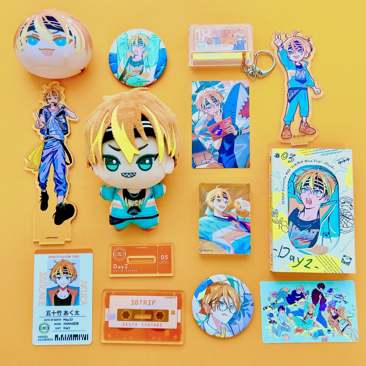 ハリネズミ~🎬 tweet media