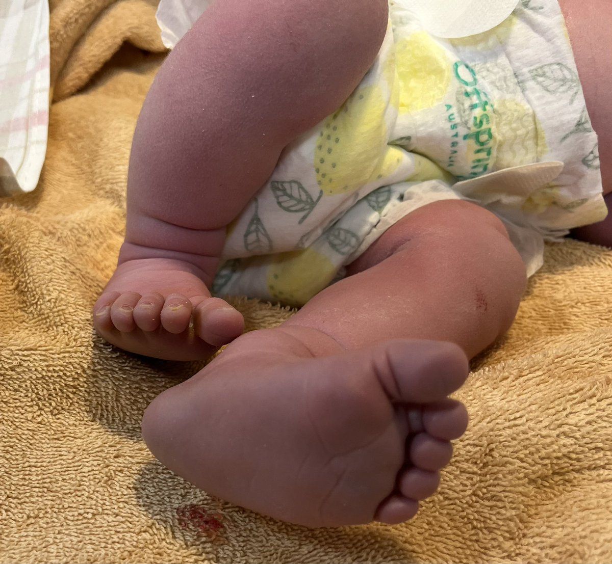 Увеличили сегодня с супругой количество русских людей.