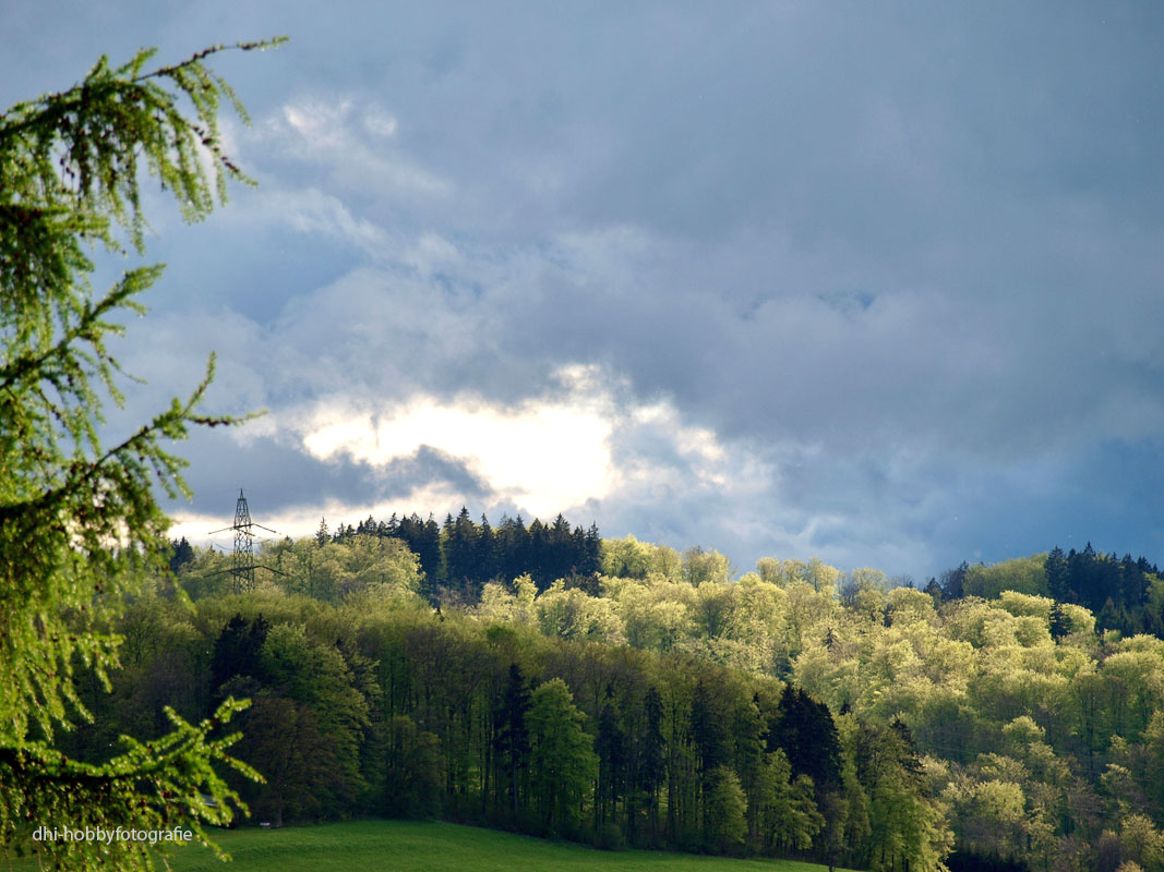 Die Jugend ist die Zeit, die Weisheit zu lernen. Das Alter ist die Zeit, sie auszuüben. Jean-Jacques Rousseau