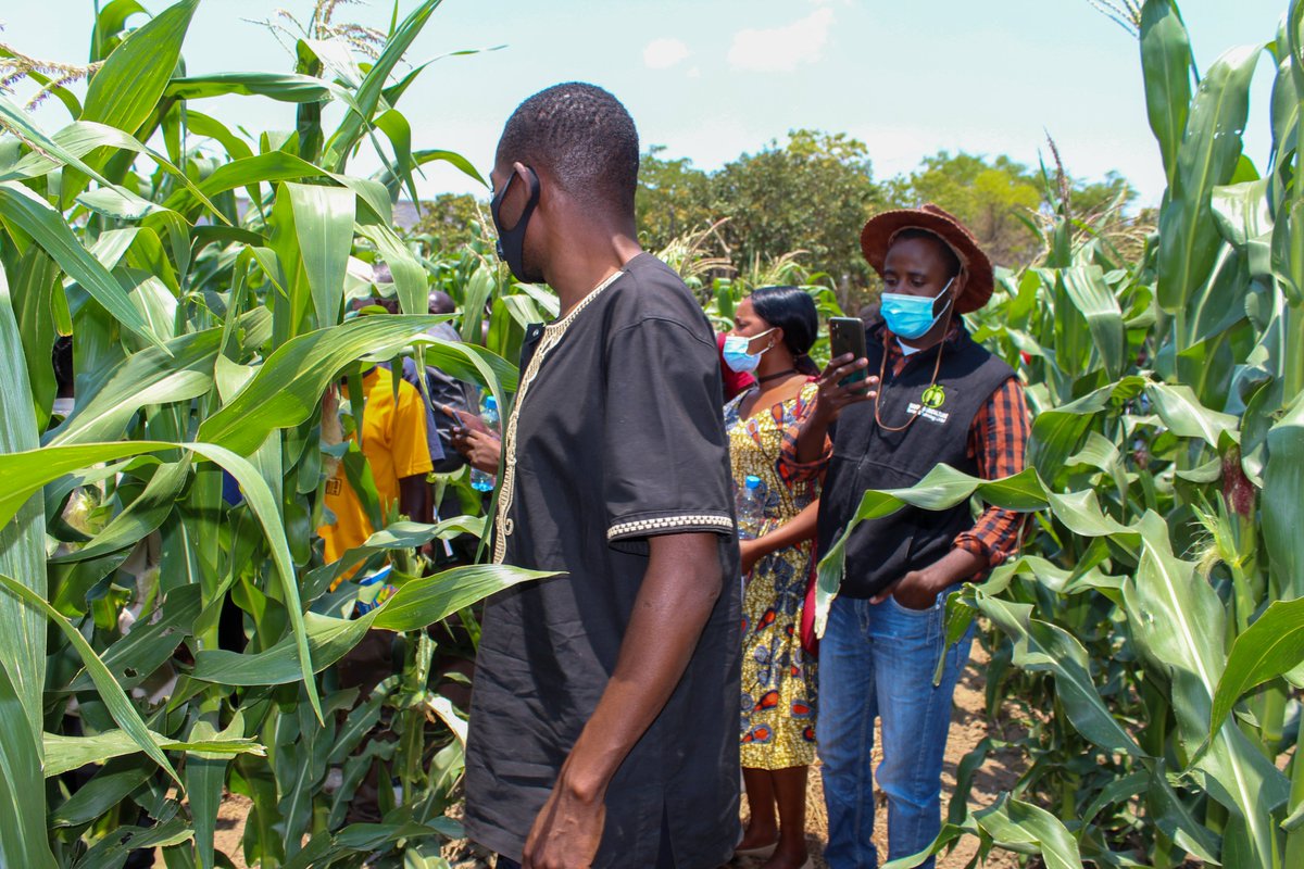 In #Zambia, the #USAID-funded Enterprise Development and Growth Enhanced (EDGE) Activity, worked with the private sector and others to boost the competitiveness of agricultural enterprises and improve their access to finance. As the project comes to a close, we are proud to share