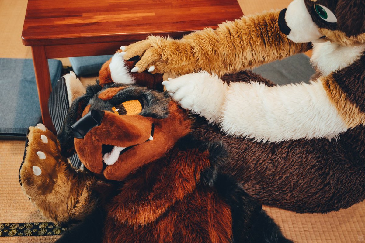 🐕🐕💤

📷<a href="/VinTheCoyote/">VinTheCoyote</a>