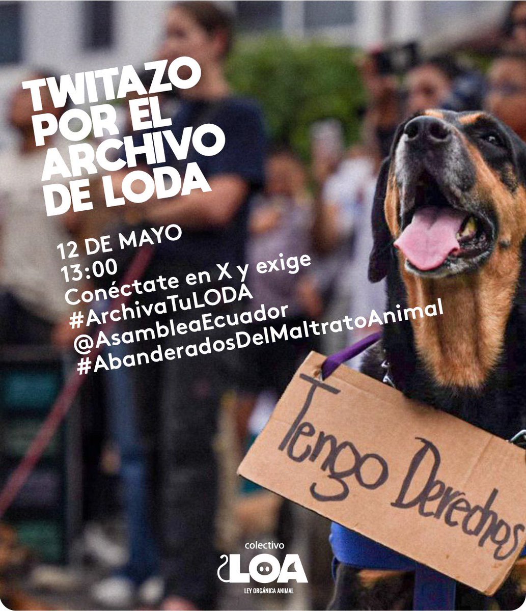 No pasarán !! #ArchivaTuLODA