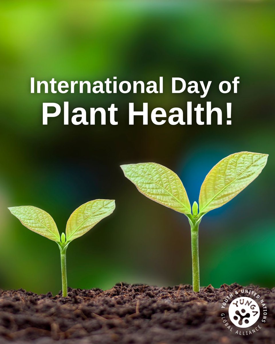 Happy International Day of Plant Health!

Plants make up 80% of the food we eat and 98% of the oxygen we breathe.

Let's protect them!❤️

#internationaldayofplanthealth #planthealth #YUNGA