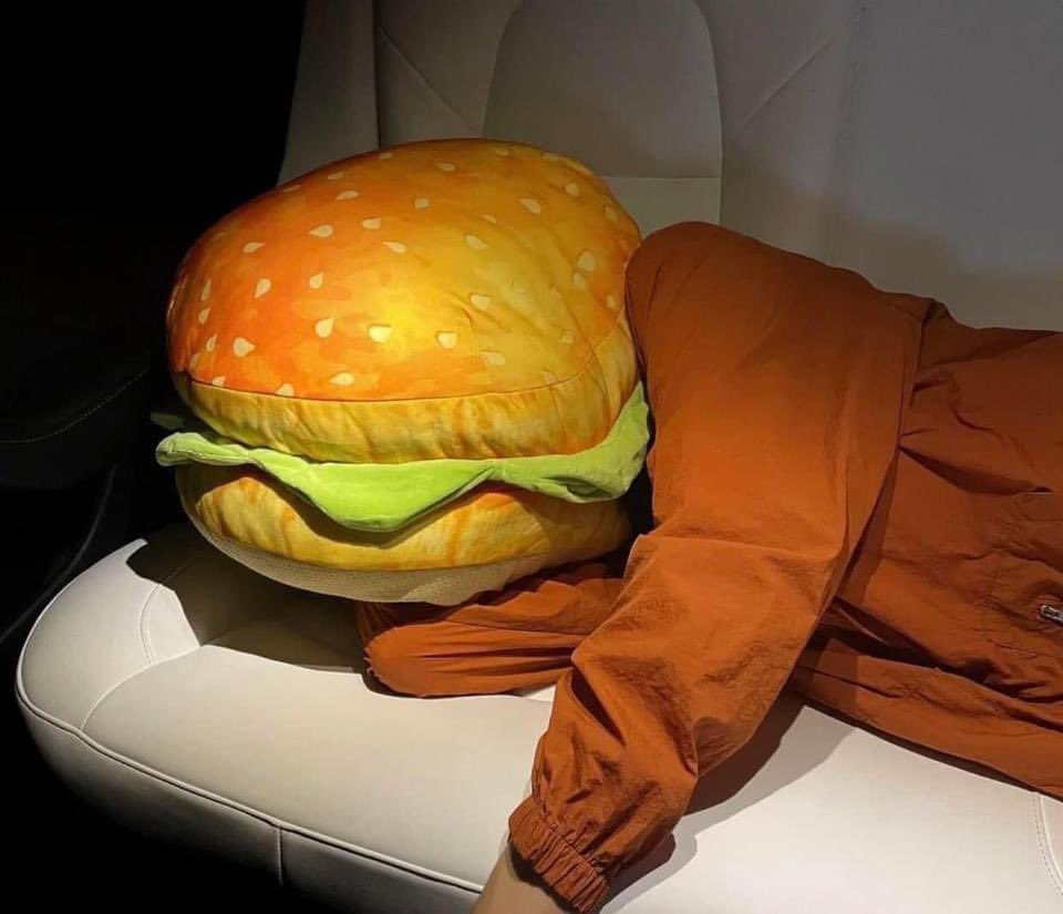 หมอนสำหรับชาว Introvert  ไม่อยากสุงสิงกับใคร 55555555555555555555555555555