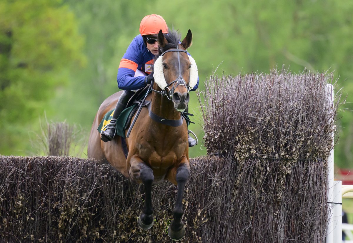 We love to hear from owners who have had a great experience when they visit Fakenham. 

Owners of Le Milos who won the David Keith Memorial Handicap Steeple Chase said, 'Thank you for a lovely day, we were made to feel very welcome and appreciated the super hospitality'.