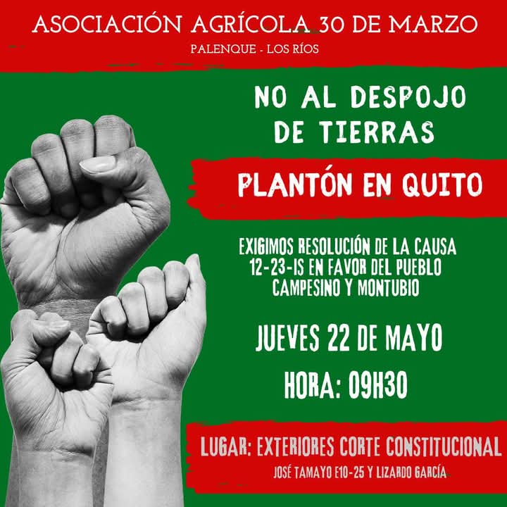 RedKapari's tweet photo. #Atención

La Asociación Campesina 30 de marzo de Palenque, provincia de #LosRios. Mediante un comunicado, convocan a un plantón en la ciudad de #Quito para que se resuelva la causa 12- 23IS que reposa en el despacho de la Dr. Ximena Cárdenas, en favor de más de 450 personas campesinas y montubias, qué han sido desplazados de sus hogares por tráfico de tierra y abuso de garantías jurisdiccionales.

La concentración esta prevista para el jueves , 22 de mayo, a las 9h30, en los exteriores de la Corte Constitucional (ubicado en la José Tamayo y Lizardo García).

📽️ Video sobre el caso: despojo, violencia y tráfico de tierras en Palenque, provincia de Los Ríos. 

https://t.co/znzCQJeTL0…  

@CorteConstEcu @DEFENSORIAEC @DDHH_Alianza