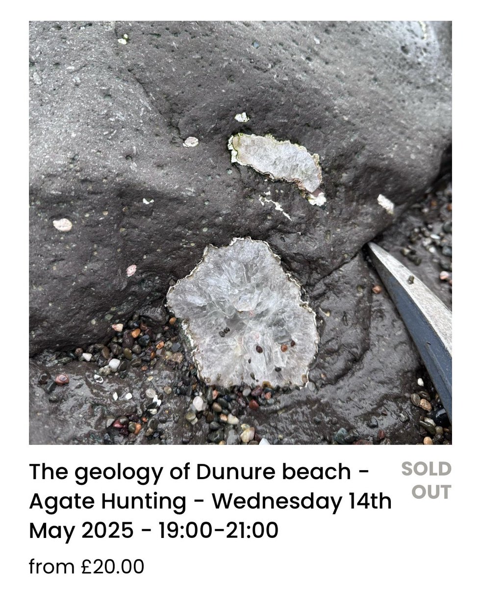 This weeks geowalks are looking good with visits to Dunure, the scottish highlands and Stonehaven. There’s still spaces left for Stonehaven and the Scottish highlands for those interested. 

#geology #geologist #scottishgeology #scottishgeologist