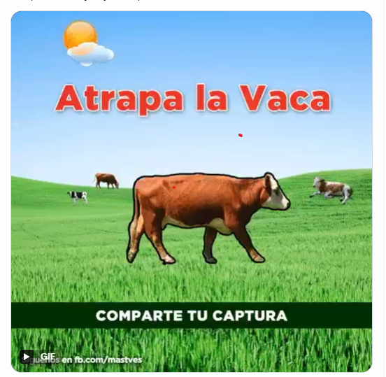 one93583's tweet photo. @Marcel_TIC Conseguido después de muchos intentos 💪😊 https://t.co/OQeAMZbQZS