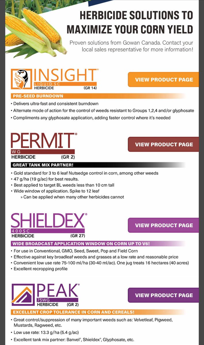 Gowan Canada has corn herbicide option from pre-seed burndown to 12 leaf corn