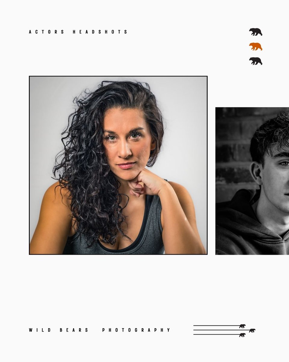 Wild Bears Photography tweet media