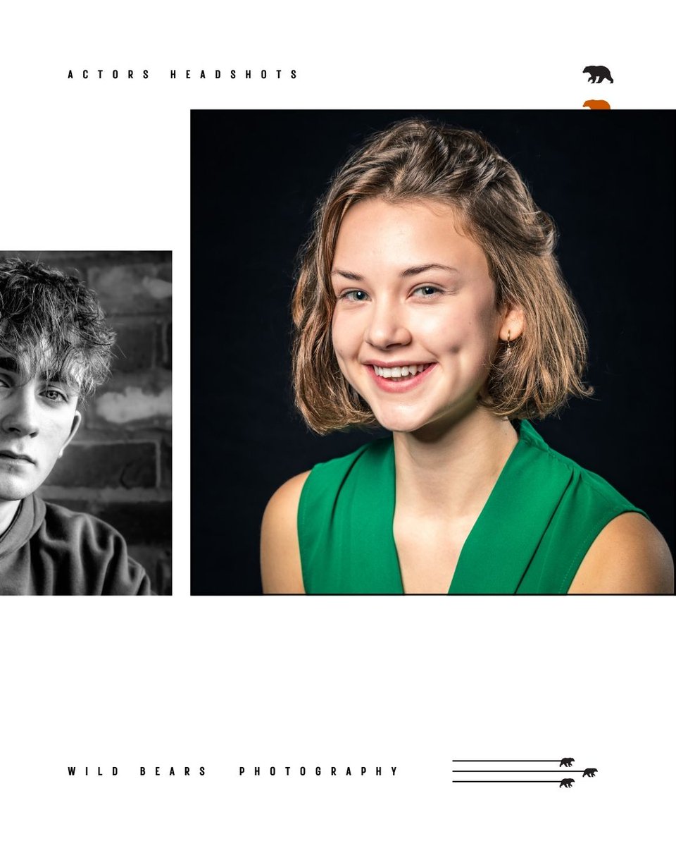 Wild Bears Photography tweet media