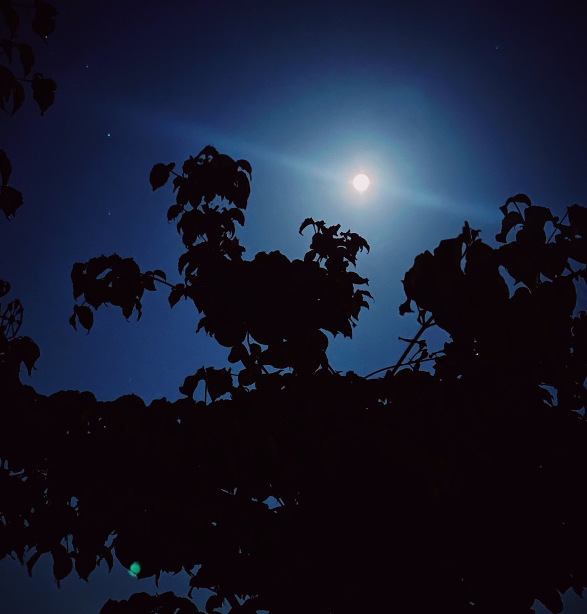 nimbus__2022's tweet image. #イマソラ　#蠍座満月