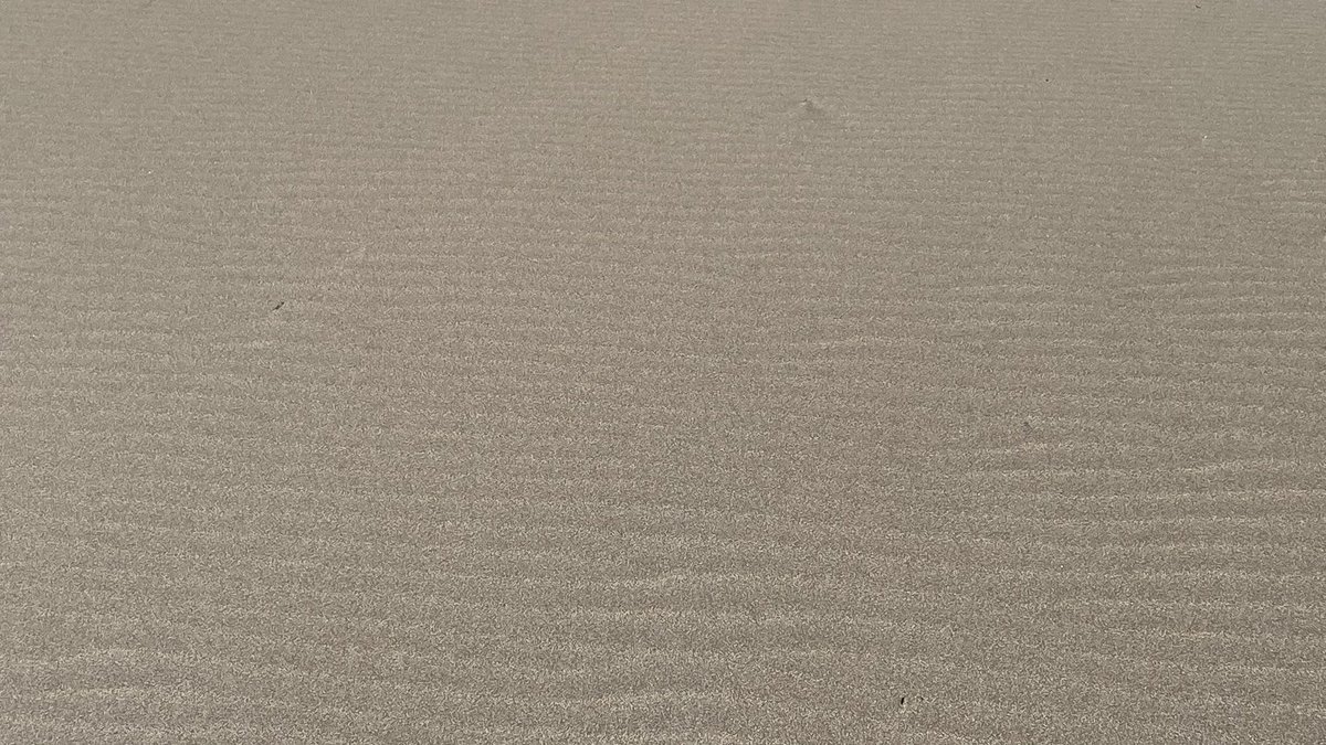 batidivulga's tweet photo. The Ebro Delta is a great “showroom” of bedforms!!! Some examples from our last fieldtrip…
#Geologia #Geology @geologiaub @DeptDto ⚒️🌊
#DeltadelEbro #DeltadelEbre #ripples #dunes https://t.co/1HO6EUiW35