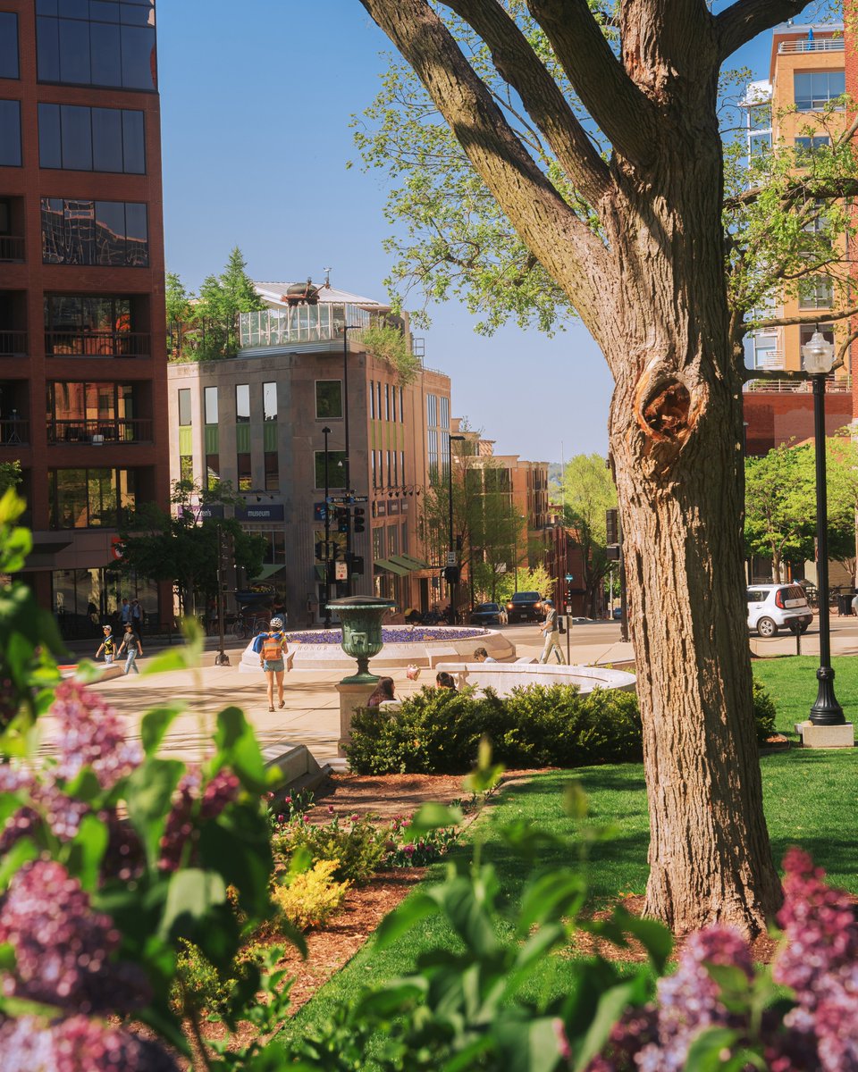 Chris Malchow tweet media