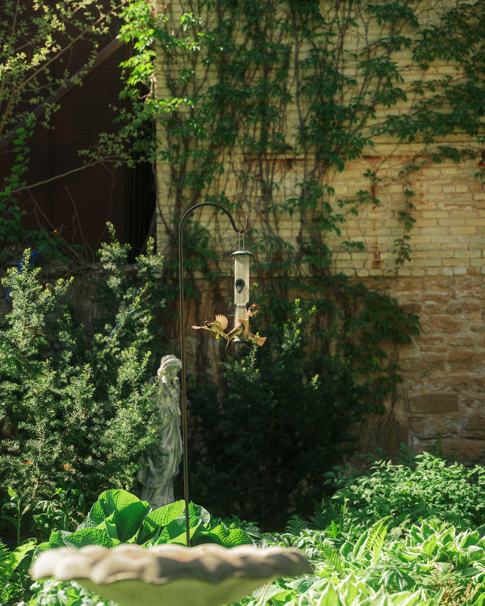 Chris Malchow tweet media