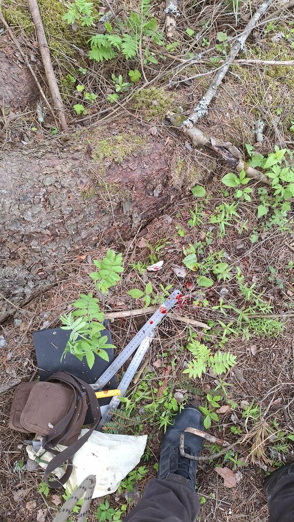 Avotāns tweet media