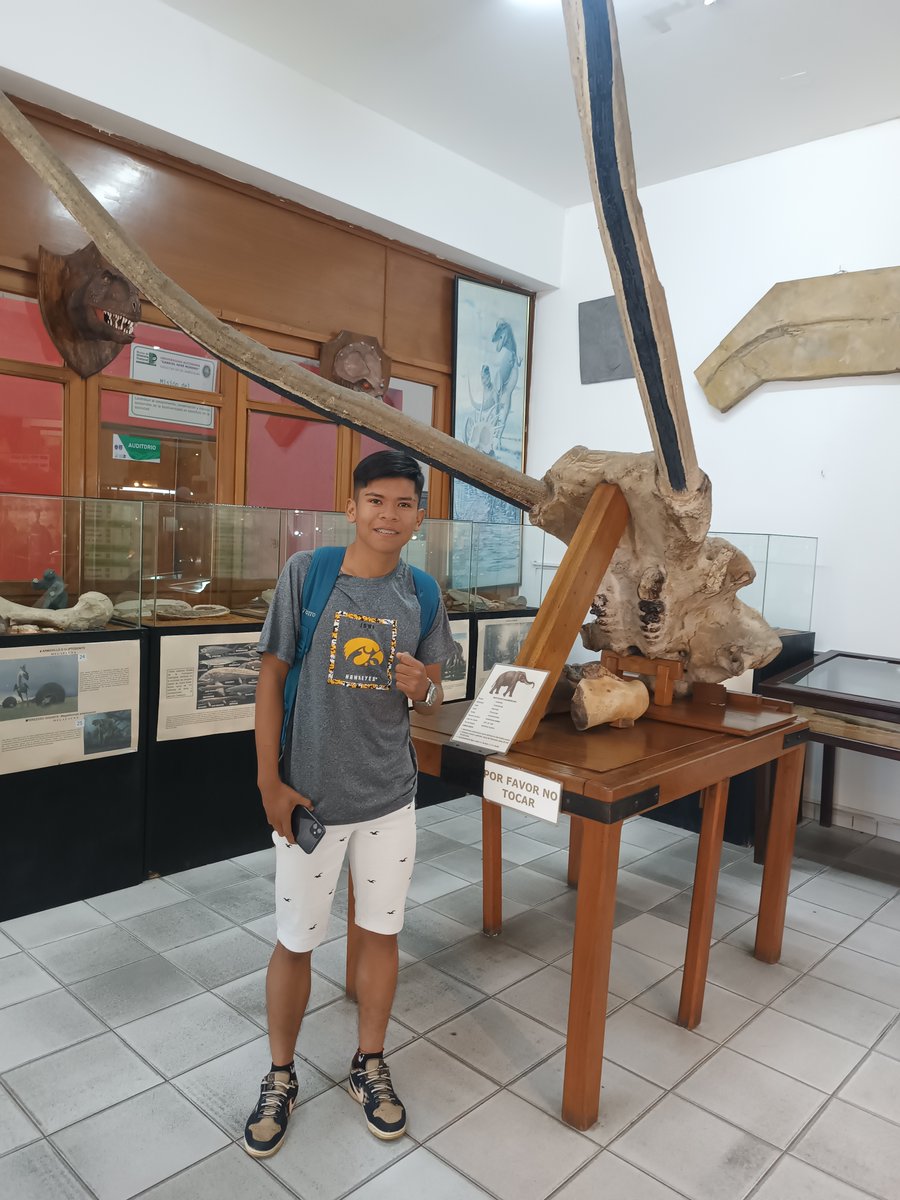 MuseoNKM's tweet photo. Recibimos la grata visita de estudiantes  de la carrera  Bioquímica de la (UCEBOL).

Recorrieron la Sala de Exhibición  y la Sala de Fotografía, quienes demostraron gran entusiasmo e interés por aprender sobre plantas, animales invertebrados, vertebrados y fósiles. https://t.co/x3t59XHyr7