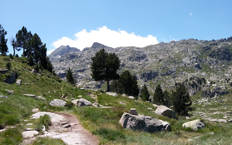 Pirinioaurrera Urdabururekin
oarsoaldea.hitza.eus/2025/05/12/pir…
<a href="/urdaburuME/">Urdaburu ME</a> #Errenteria #Orereta