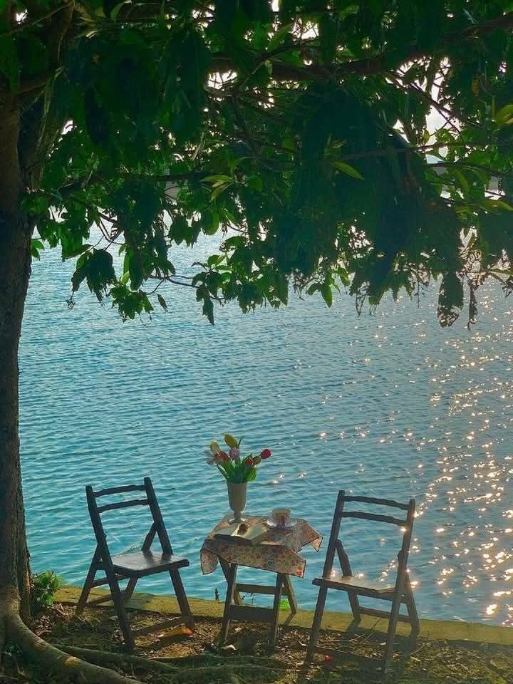 ونقعد نحكي💗.