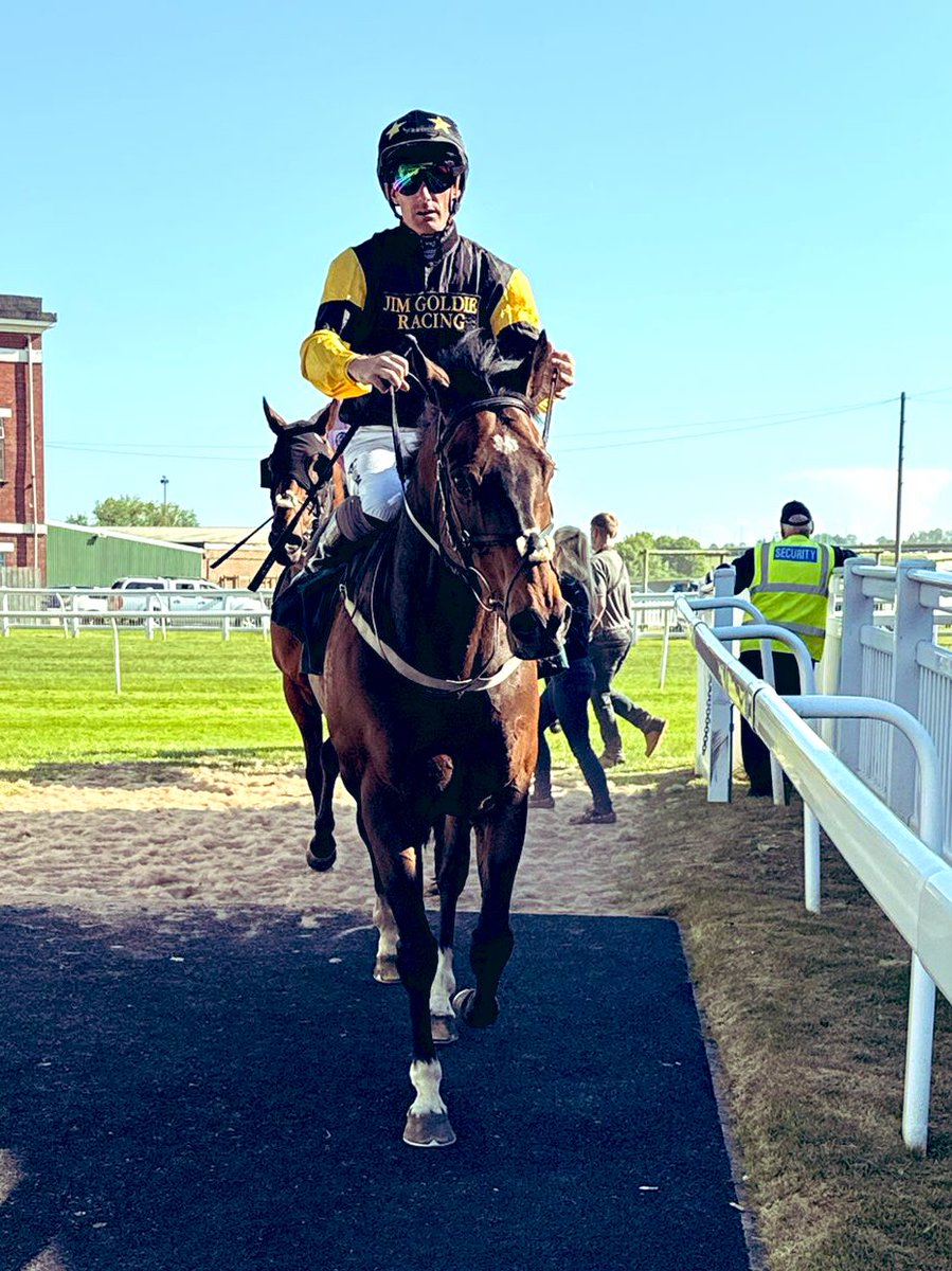 Jim Goldie Racing (@jimgoldieracing) on Twitter photo Water Of Leith won the Veteran’s race <a href="/CatterickRaces/">Catterick Racecourse</a> this afternoon but we won’t tell him that!😂 <a href="/PMulrennan/">Paul Mulrennan</a> produced <a href="/JDeltaRacing/">Johnnie Delta Racing</a>’s ‘Wattie’ to a nicety, winning his 11th career race! 🖤💛🖤👏🏻 Water Of Leith won the Veteran’s race <a href="/CatterickRaces/">Catterick Racecourse</a> this afternoon but we won’t tell him that!😂 <a href="/PMulrennan/">Paul Mulrennan</a> produced <a href="/JDeltaRacing/">Johnnie Delta Racing</a>’s ‘Wattie’ to a nicety, winning his 11th career race! 🖤💛🖤👏🏻