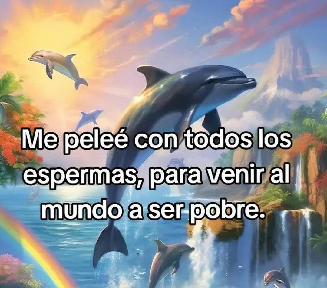 Frases Barbie tweet media