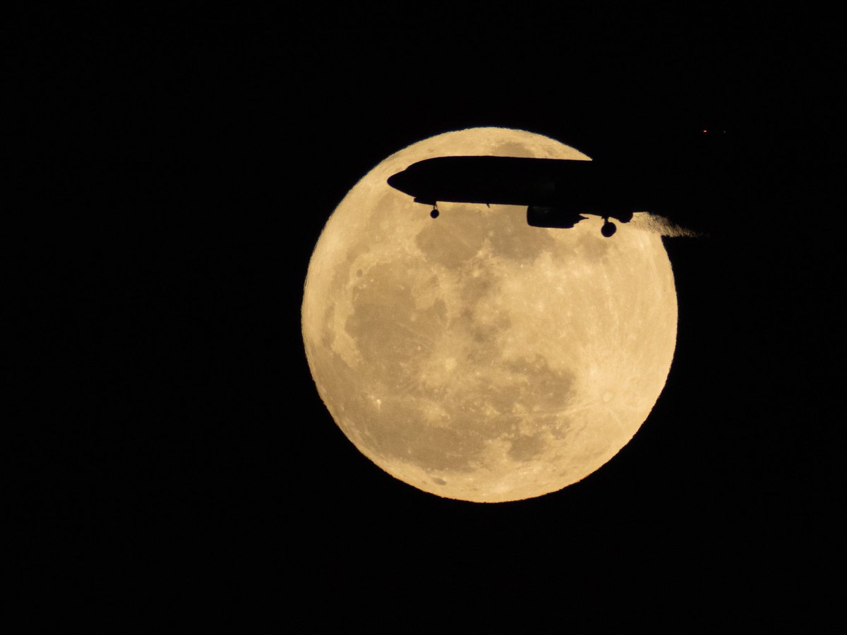 Sam_RMSI's tweet photo. Donghai Airlines DZ6286
B737-83Z B-1104
2025-5-12  20:40  
Olympus OM-D E-M1  f/11 1/800s ISO3200 900mm 
Illumination 99.9% https://t.co/Wlhyq04TEE