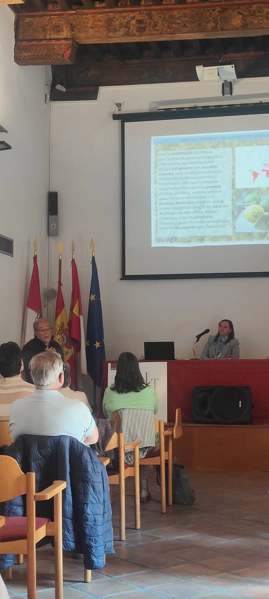 ClmApit's tweet photo. Gran iniciativa la jornada sobre "Al-Ándalus/Sefarad: Paisaje compartido"
#Funci @MuseoSefardi #EscuelaTraductoresToledo @uclm_es https://t.co/3AkyX9tfKU