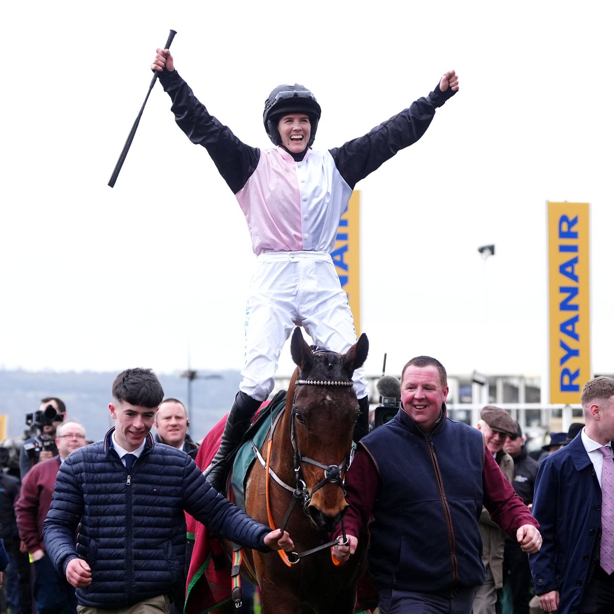 1x 🏆 Cheltenham Gold Cup
1x 🏆 Queen Mother Champion Chase
1x 🏆 Stayers' Hurdle
1x 🏆 Supreme Novices' Hurdle
1x 🏆 Baring Bingham Novices' Hurdle
1x 🏆 Champion Bumper
2x 🏆 Champion Hurdle
2x 🏆 Mares' Hurdle
2x 🏆 Mares' Novices' Hurdle
1x 🏆 Golden Miller Novices' Chase
2x