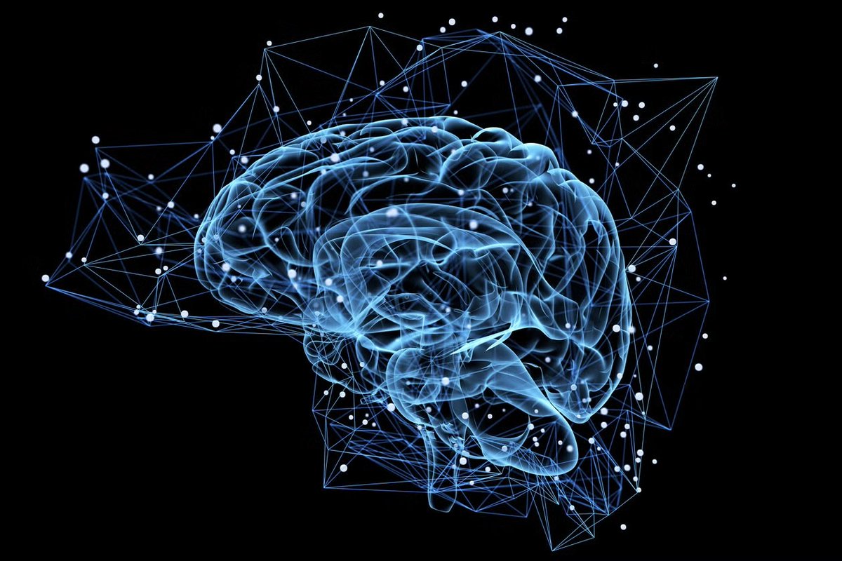 Yale School of Medicine (@yalemed) on Twitter photo A YSM-led study published in <a href="/CellStemCell/">Cell Stem Cell</a> unveils how molecular "traffic cops" called morphogens help to guide #stemcells' differentiation into more specialized #brain cells in the earliest stages of #development: brnw.ch/21wSAAj A YSM-led study published in <a href="/CellStemCell/">Cell Stem Cell</a> unveils how molecular "traffic cops" called morphogens help to guide #stemcells' differentiation into more specialized #brain cells in the earliest stages of #development: brnw.ch/21wSAAj