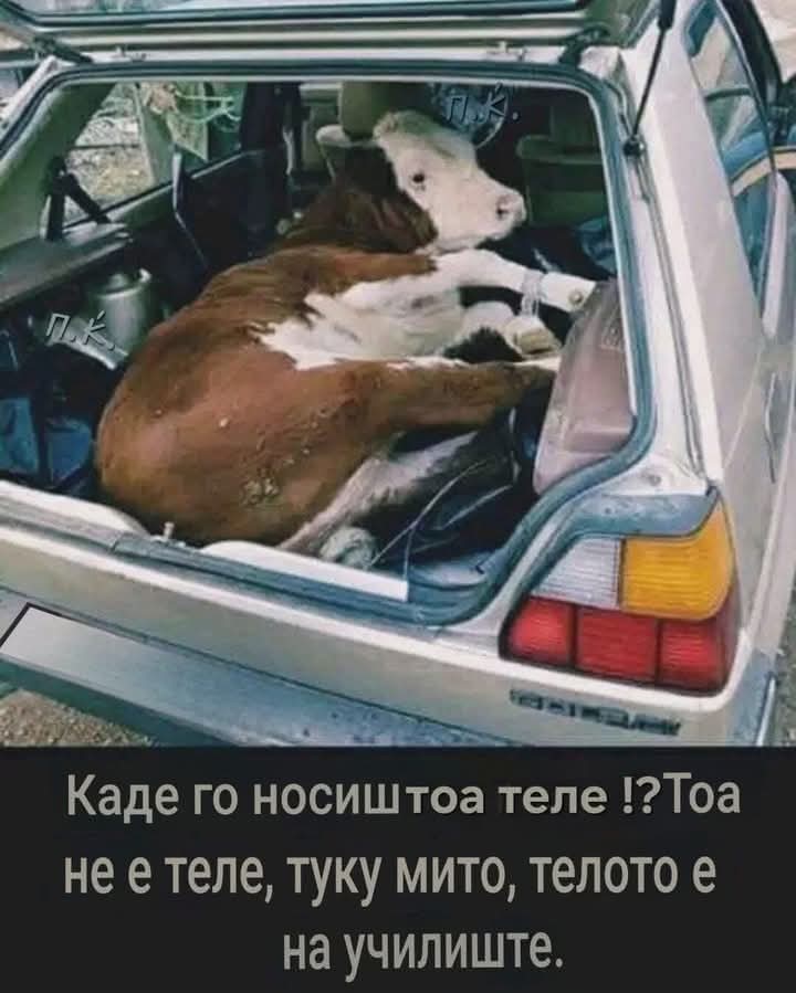Стоп за МИТО!
Оти еден ден, теле се седне на фотеља у образование, здравство, правда и сл. а ти ќе имаш потреба од стручна помош и ќе треба да ја бараш од тоа теле!