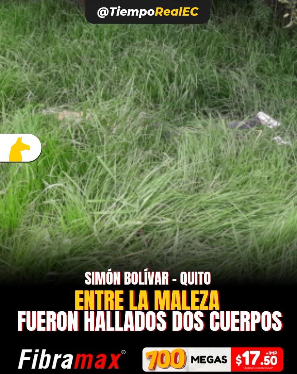 🌎 #SUCESOS ||

📌  El 11 de mayo de 2025, moradores del sector El Troje, en el sur de Quito, encontraron los cuerpos sin vida de dos hombres entre la maleza, cerca de la avenida Simón Bolívar. Uno de los cadáveres fue hallado decapitado, y la cabeza fue localizada a 500 metros